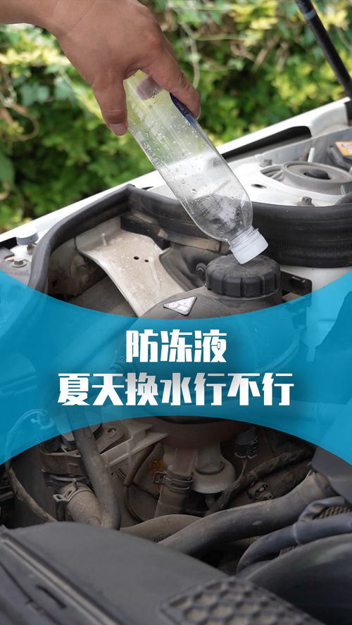 夏季汽车用防冻液多少钱(夏季汽车用防冻液价格解析)