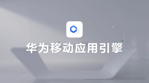 电脑华为应用市场怎么更新app(华为应用市场电脑版如何更新应用程序，详细步骤与注意事项)