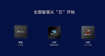 华为电脑怎么不联网验机(华为电脑不联网验机，探究与策略)