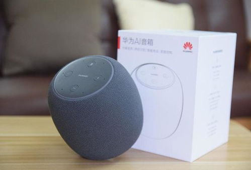 华为音响怎么能联电脑(华为音响与电脑的完美联动，实现高效音频体验)
