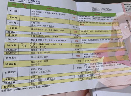 塘沽到宁津汽车票多少钱(塘沽到宁津汽车票价详解，费用、行程与选择)