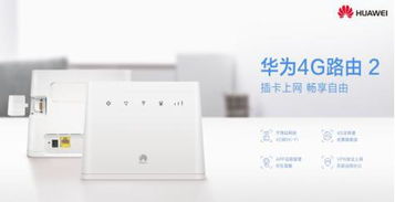 华为路由器怎么接入电脑(华为路由器接入电脑，详细步骤与操作指南)