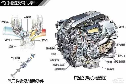汽车构造图多少钱一套(汽车构造图的价格及其重要性)