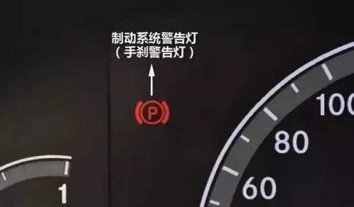 汽车警示灯有效吗多少钱(汽车警示灯的重要性及其价格分析)