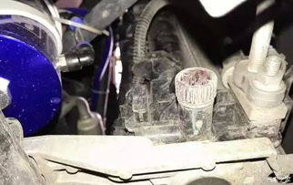 汽车暖风水箱里加多少水(汽车暖风水箱加水指南，如何正确添加汽车暖风水箱的水量)