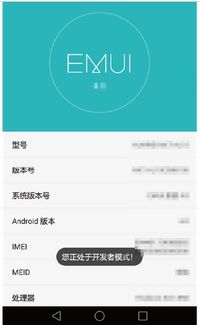 华为音乐怎么在电脑上吗(华为音乐在电脑上使用指南，轻松享受高品质音乐体验)