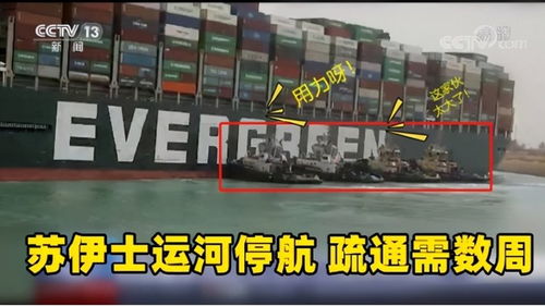 汽车的强制险多少一年的(汽车强制险一年费用解析)