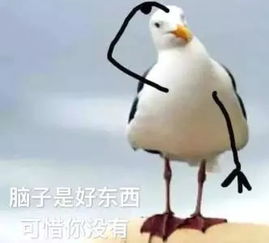 看到了现实版安小鸟(现实版安小鸟，一只触动心灵的眼睛)