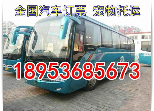 大王到东营汽车票多少钱(大王至东营汽车票价详解，费用、时间与路线一览)