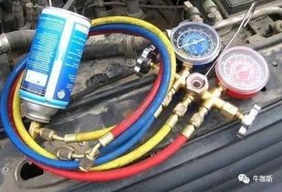 汽车加氟需要加多少克的(汽车加氟需要加多少克的深度解析)
