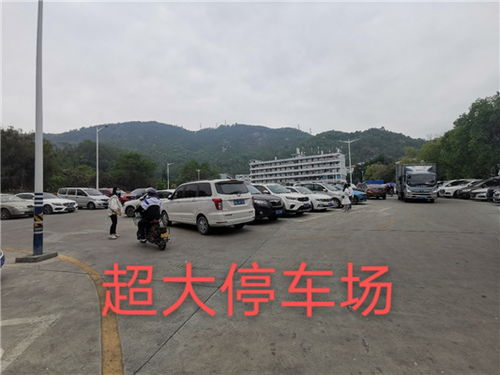 蓬安汽车站到深圳多少钱(蓬安汽车站到深圳的交通费用详解)