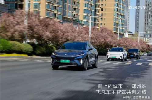 郑州市有多少量飞凡汽车(郑州市飞凡汽车的数量探究)