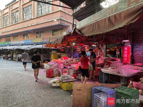 广州开珠海汽车站多少钱(广州开设珠海汽车站的成本分析)