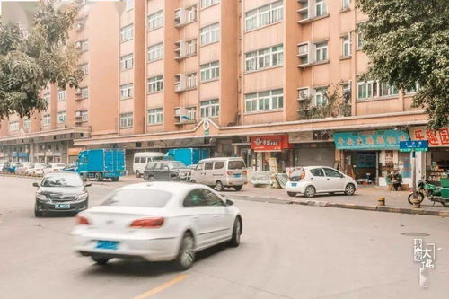 东莞到上沙汽车站多少钱(东莞到上沙汽车站乘车费用详解)