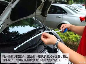 汽车一般要加多少水(汽车一般要加多少水) 汽车一般要加多少水(汽车一般要加多少水)