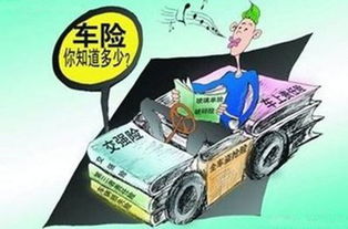 微型汽车保险多少一年(微型汽车保险费用详解，一年需要多少？