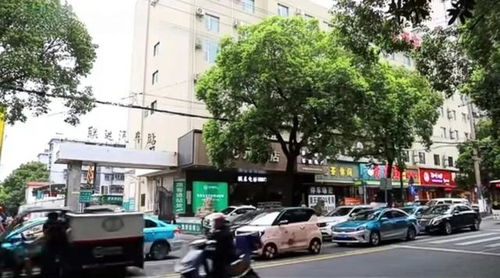岳阳到洞庭汽车站多少钱(岳阳到洞庭汽车站的价格详解)