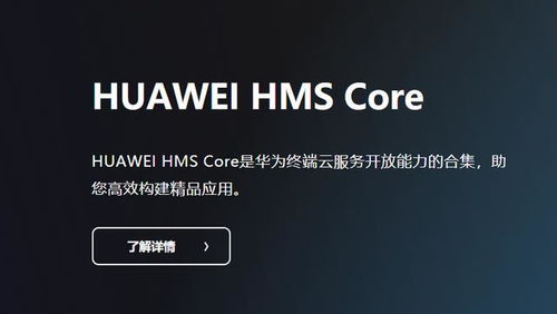 华为电脑怎么变app的大小(华为电脑调整应用程序大小的详细步骤指南)