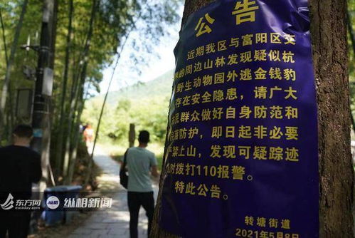 华为手表怎么连接电脑吗(华为手表与电脑的连接方法，简单、高效、一步到位)