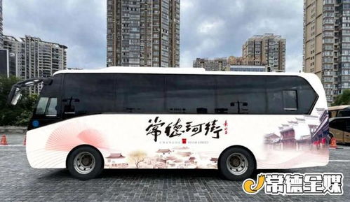 汉中至勉县汽车票多少钱(汉中至勉县汽车票价详解，费用、路线与旅行信息)
