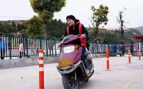 电瓶车汽车保暖罩多少钱(电瓶车汽车保暖罩的价格及其相关因素探讨)