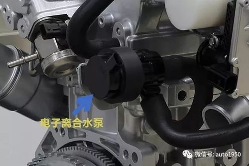 汽车换水箱节温器多少钱(汽车换水箱节温器费用解析)