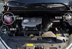 汽车漏冷却液修多少钱(汽车漏冷却液维修费用解析)