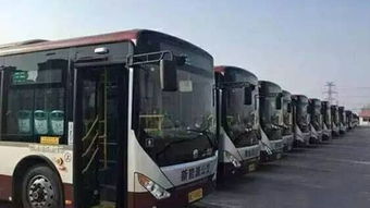 平度到新密汽车票多少钱(平度到新密汽车票价详解,费用、路线与旅行准备) 平度到新密汽车票多少钱(平度到新密汽车票价详解,费用、路线与旅行准备)