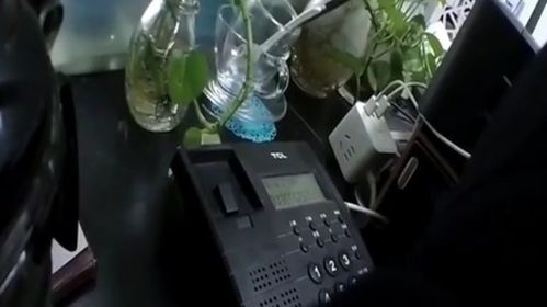 天堂寨汽车站电话是多少(天堂寨汽车站电话查询及旅游指南)