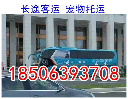 福永到道县汽车票价多少(福永到道县汽车票价详解)