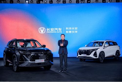 叶县汽车补胎多少钱一次(叶县汽车补胎价格详解，费用、服务与注意事项)