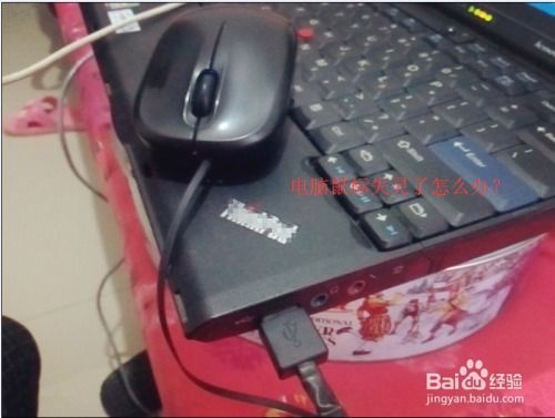 华为电脑滑鼠失灵怎么办(华为电脑滑鼠失灵怎么办？全面解析与解决策略)