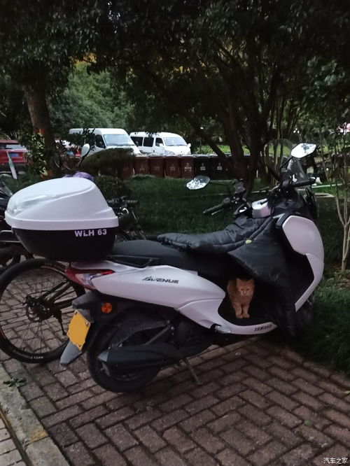 装一个汽车踏板多少钱(汽车踏板安装费用详解,多少钱才能装一个高品质的汽车踏板? 装一个汽车踏板多少钱(汽车踏板安装费用详解,多少钱才能装一个高品质的汽车踏板?