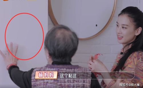 黄圣依称不接受婚前同居引发热议(黄圣依称不接受婚前同居，传统价值观与现代婚恋观的碰撞引发社会热议)