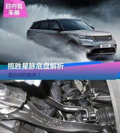 检查汽车底盘要求多少钱(汽车底盘检查费用解析，价格因素与重要性)