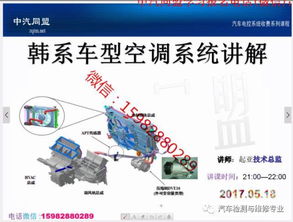德国人接汽车电路多少钱(德国人接汽车电路的费用分析)
