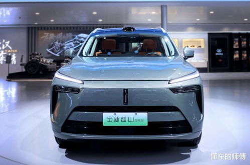 长城汽车w01多少钱(长城汽车W01价格解析，多少钱？