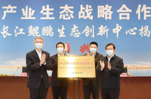 武汉华为鲲鹏电脑怎么样(武汉华为鲲鹏电脑，技术领航，智能之选)