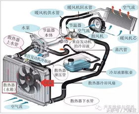 现代汽车的防冻液多少钱(现代汽车的防冻液价格解析)