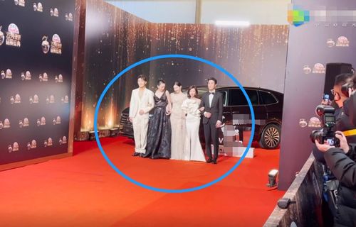 杨幂：能和刘德华一起走红毯了(杨幂，从新星到巨星，与刘德华共走红毯的荣耀时刻)