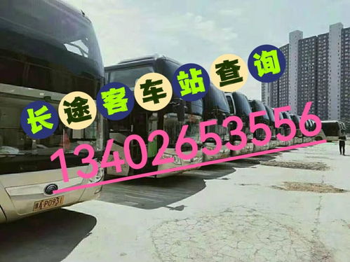 聊城至莘县汽车票多少钱(聊城至莘县汽车票价详解，费用、信息及购票攻略)
