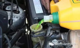 汽车防冻液替换油多少钱(汽车防冻液替换油费用解析)