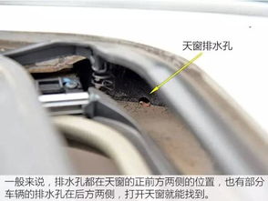 汽车下支臂胶条多少钱(汽车下支臂胶条价格解析)