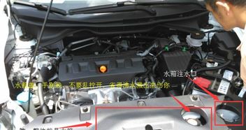 汽车水箱全换多少钱的水(汽车水箱全换所需费用解析，多少钱的水？