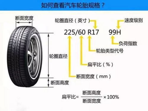 汽车轮胎多少月算库存的(汽车轮胎的库存周期界定与影响分析)