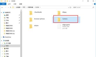 怎么看华为电脑复制记录(探究华为电脑的复制记录查看方法) 怎么看华为电脑复制记录(探究华为电脑的复制记录查看方法)
