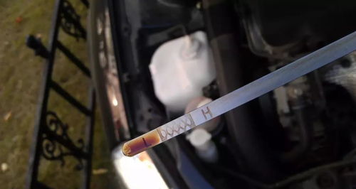 星途汽车加多少玻璃水(星途汽车玻璃水的正确添加方法及注意事项) 星途汽车加多少玻璃水(星途汽车玻璃水的正确添加方法及注意事项)