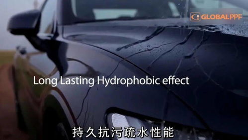 汽车车牌帽2袋多少钱(汽车车牌帽的价值与选择，两袋价格究竟几何？