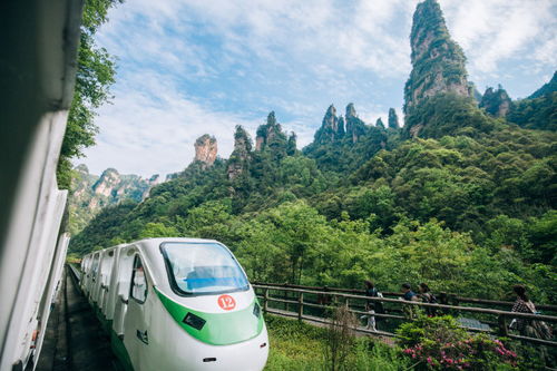 邻水到张家界多少钱汽车(邻水到张家界，汽车票价及旅行攻略)