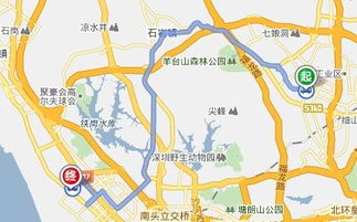 移风汽车站电话号是多少(移风汽车站电话号码查询及周边配套设施介绍)